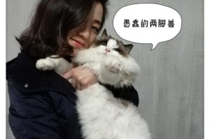 愚蠢布偶游戏攻略（逆天技巧让你在愚蠢布偶游戏中脱颖而出）