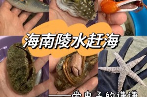 海南赶海攻略（海南赶海攻略，走进大自然，体验捕捞乐趣）