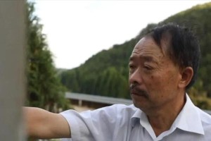 《伽蓝战场出装攻略》（掌握关键出装，成为无敌战士！）