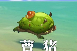 原神抓动物攻略（探索大陆，与动物共舞，开启动物伙伴收集之旅）