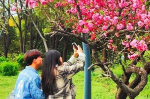 《畅游春日，尽情踏青游园攻略》（发掘自然乐趣，解锁游园秘籍，精彩游园攻略尽在此！）