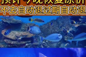 探索迷人海底世界的游戏攻略（发现宝藏与冒险的海底奇遇）
