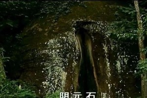 《元气众生录》炼丹大会攻略（掌握炼丹秘诀，赢取巨额奖励）