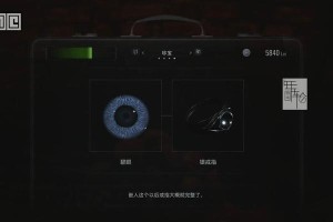 《PS4游戏攻略大全》（掌握游戏技巧，成为顶尖玩家）