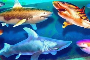 《探秘海底接吻游戏大全攻略》（畅玩海底接吻游戏，轻松解锁高分！）
